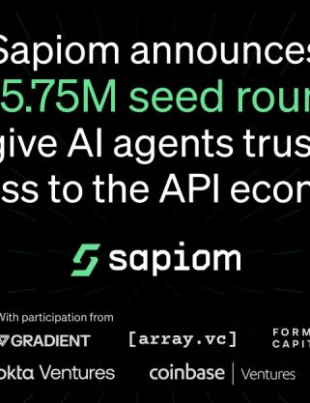 Autonomous AI agent making digital payments and managing online tools